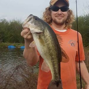 Meet your Posher, Bryant